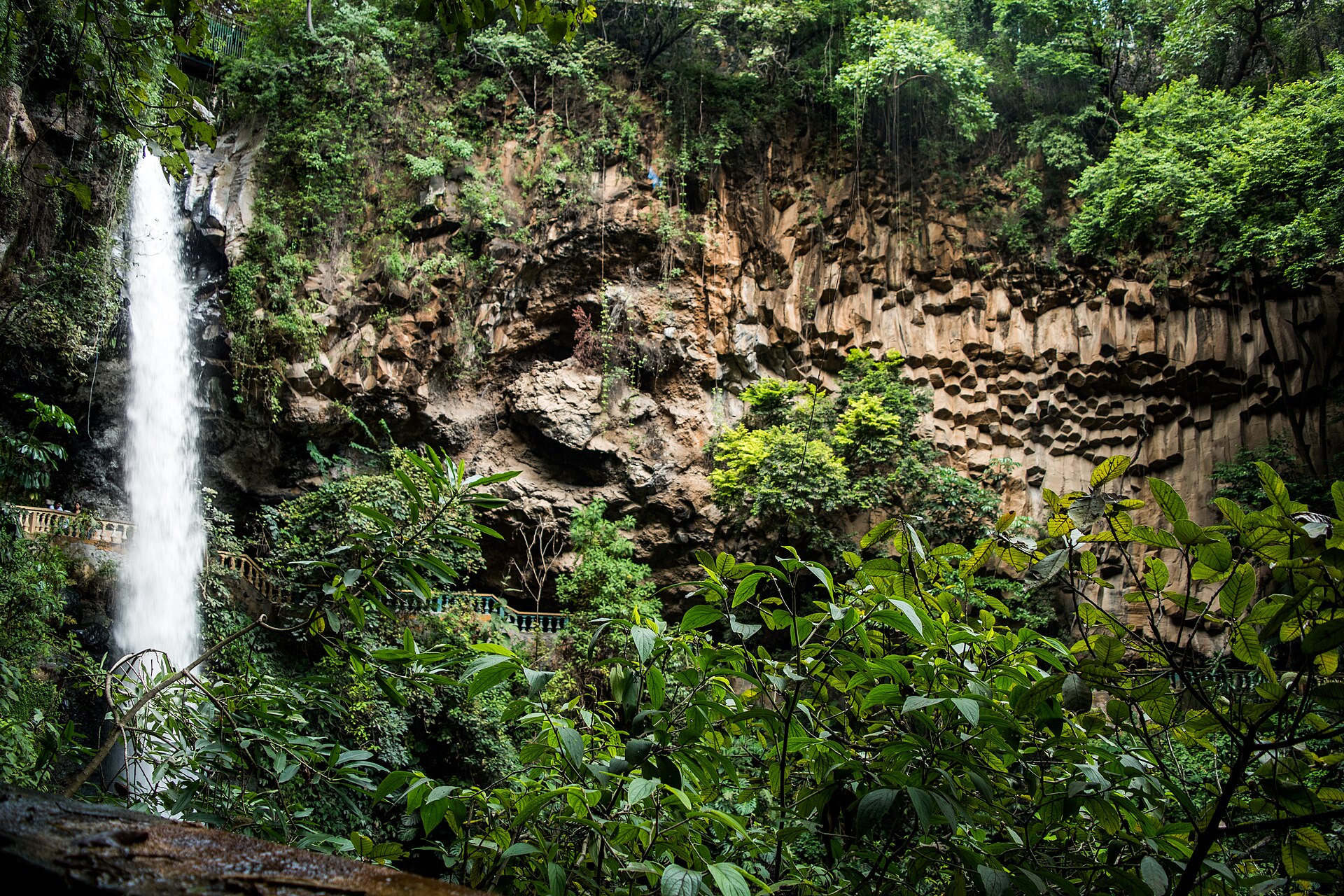 Vista lateral de la cascada Salto de San Antón, ubicada en el barrio de San Antón, Cuernavaca, Morelos. Es notable la presencia de basalto columnar, que se origina bajo condiciones específicas del enfriamiento de lava. La vegetación está representada por especies de la selva baja caducifolia.