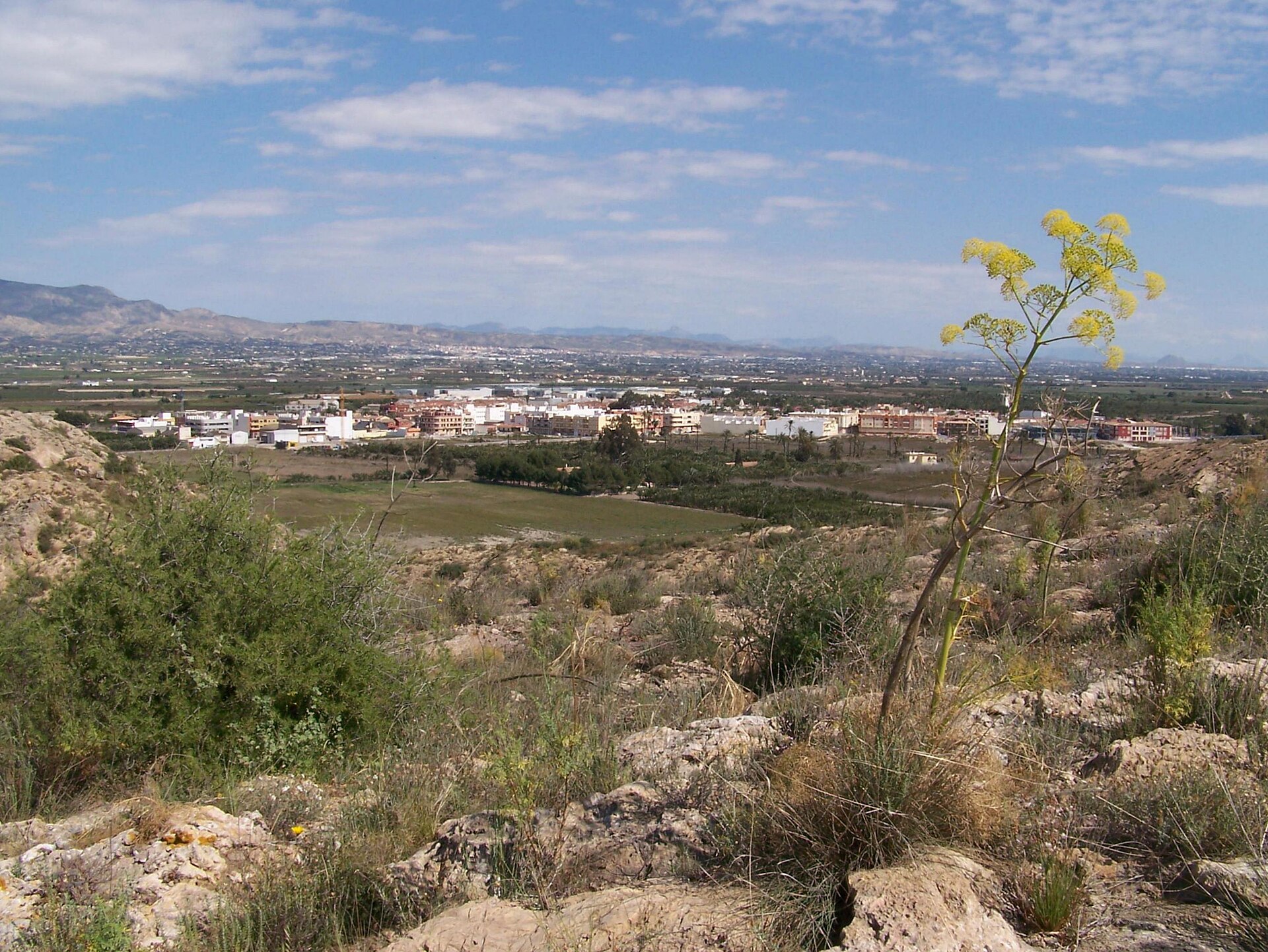 San Isidro de Albatera (San Isidro desde 1993) (Alicante, España), desde el Cabezo de los Ojales/de las Fuentes.