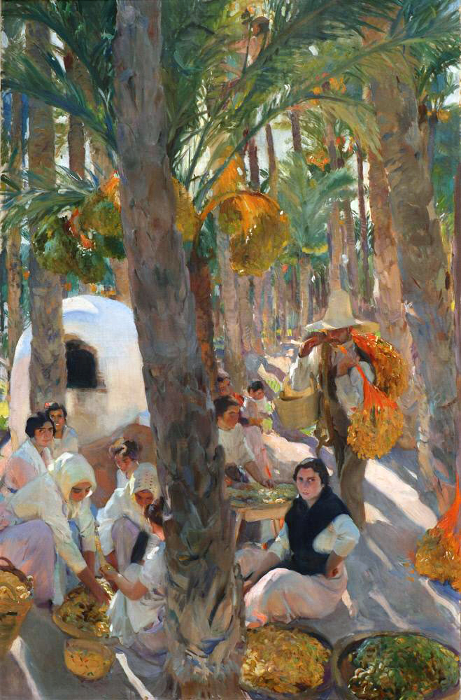 El Palmeral de Elche: Un Oasis de Historia