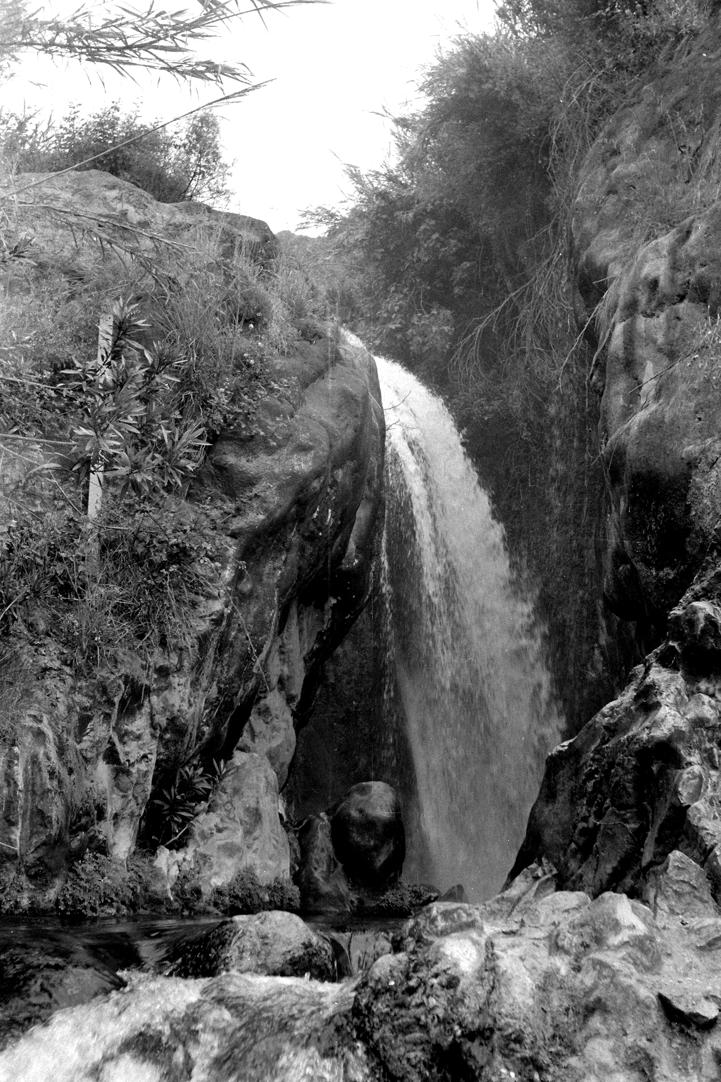 Chorro de las Fuentes del Algar. Callosa de Ensarriá (Alicante, Comunidad Valenciana, España)