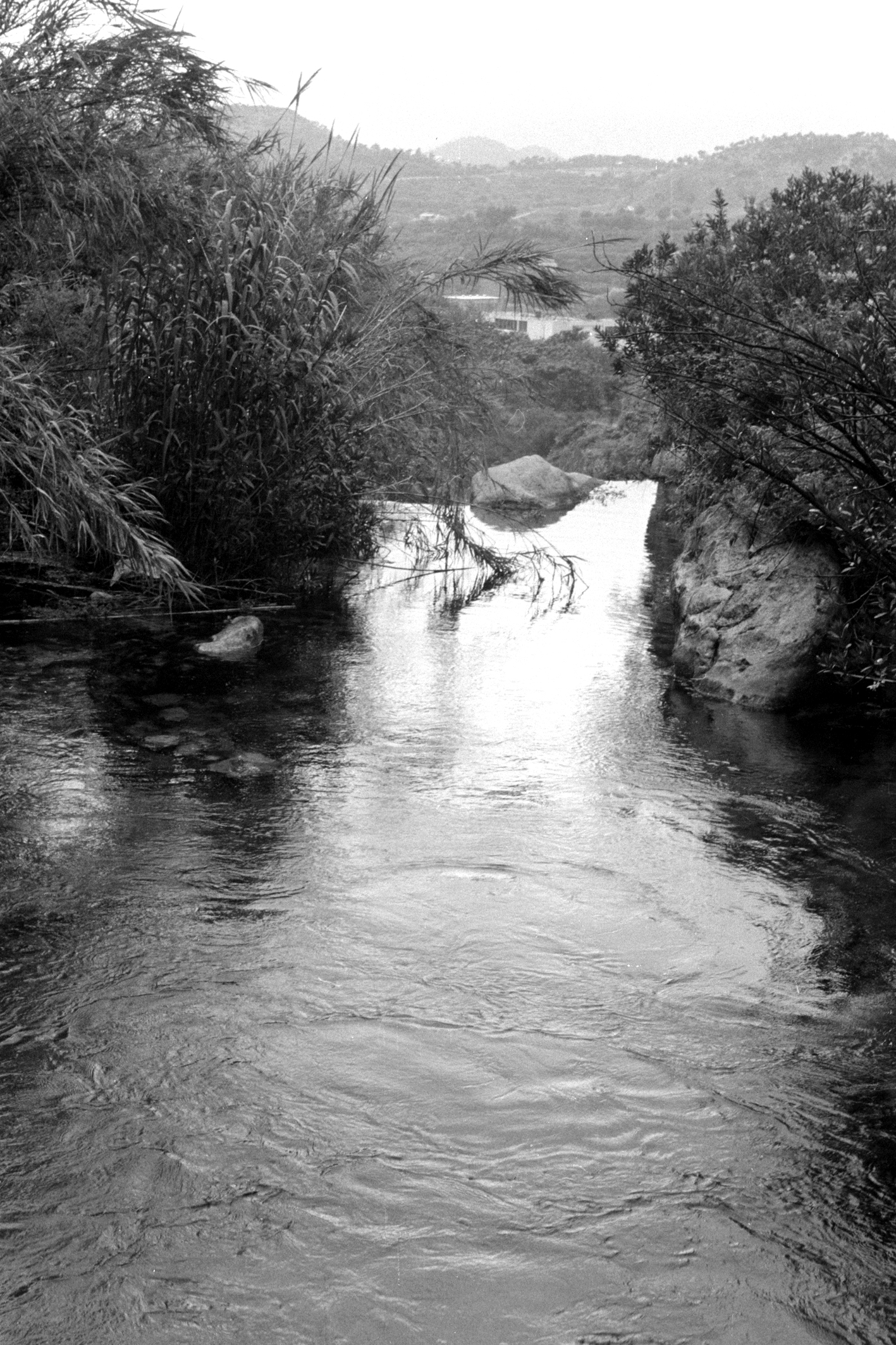 Arroyo de las Fuentes del Algar antes de la cascada. Callosa de Ensarriá (Alicante, Comunidad Valenciana, España)
