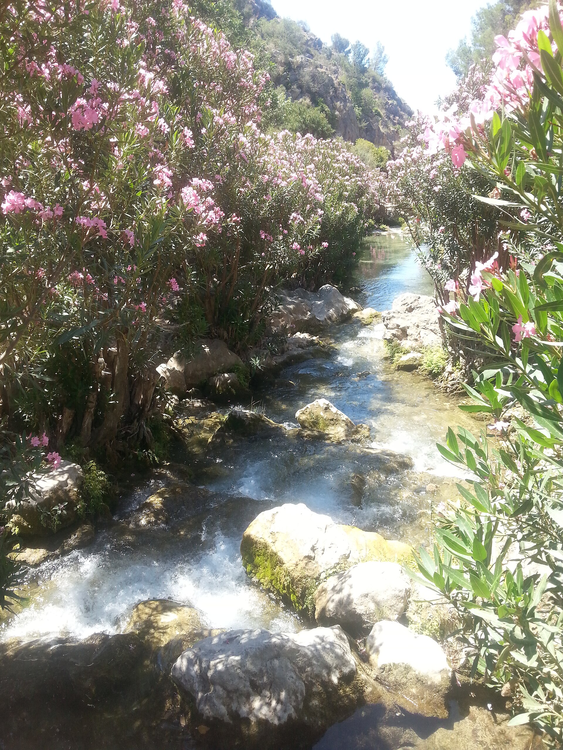 las fuentes del Algar, Altea (valencia,España)